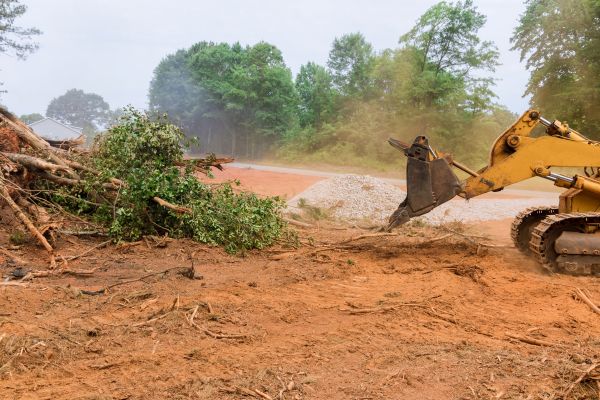 Forestry Mulching Service in Seneca