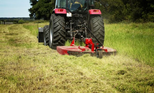 Brush Clearing Service in Seneca