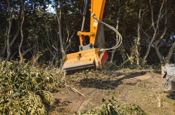 Brush Removal Service in Seneca