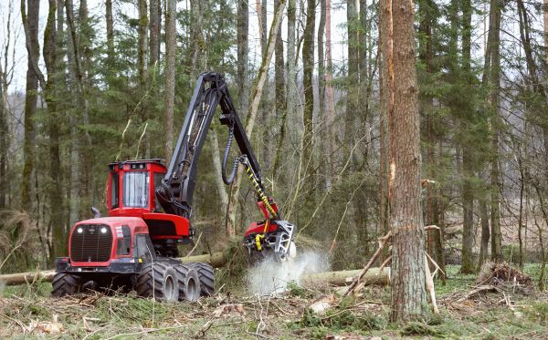 Forest Clearance Service in Seneca